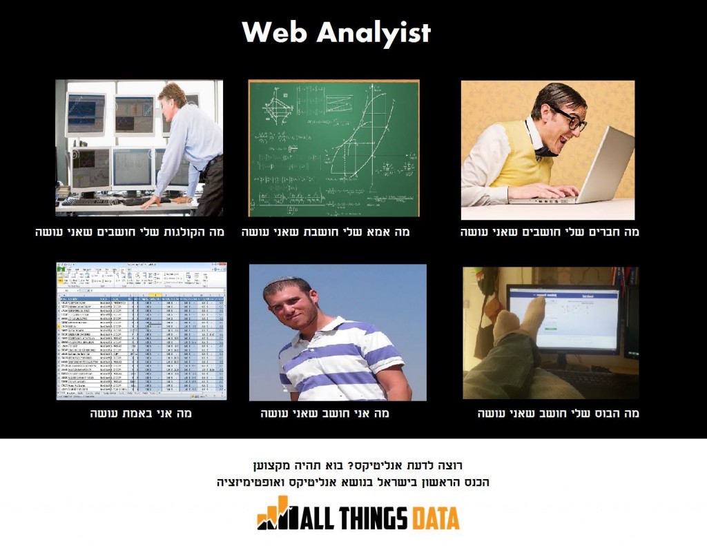 web analyst
